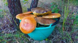 возможная блокировка yotube.avi