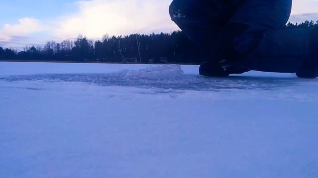 Зимняя рыбалка на жерлицы. Щука. Озеро Петушиное. Ленинградская область. смотреть онлайн