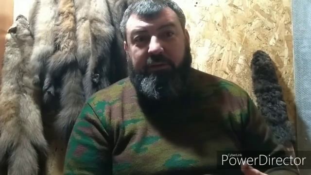 Выбор щенка лайки для охоты! смотреть онлайн