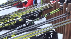 Первенство Новосибирской области по лыжным гонкам.