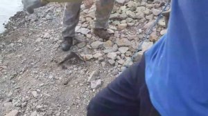 рыбалка на горбушу спиннингом, горная речка, тасманский дьявол .