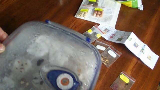 СЕМЕНА ИЗ КИТАЯ ПОДГОТОВКА К ПРОРАЩИВАНИЮ vselennaya uvlesheniy смотреть онлайн