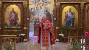 ☦ С креста не сходят - с него снимают/ Протоиерей Георгий Поляков.