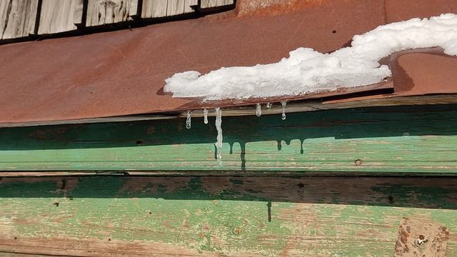 Весна идет, весне дорогу! Но первые предвестники весны мы наблюдали уже в феврале!