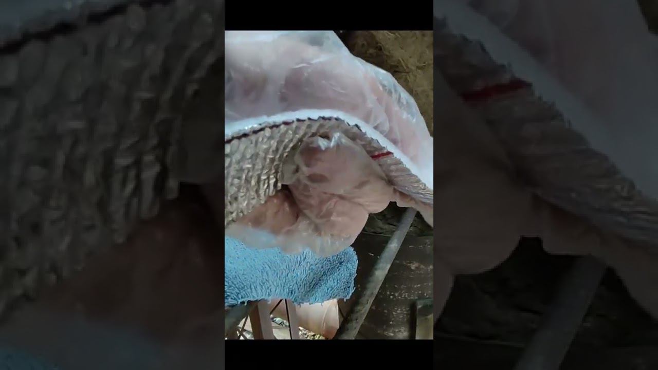 Подвес термоэлектрического генератора на тепломагистраль..