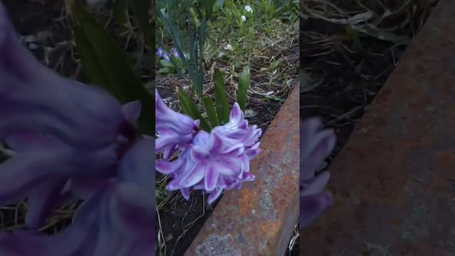 Мусофирга оссон эмас Калбимдаги согинч смотреть онлайн