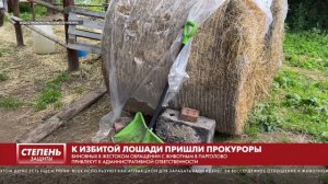 К ИЗБИТОЙ ЛОШАДИ ПРИШЛИ ПРОКУРОРЫ