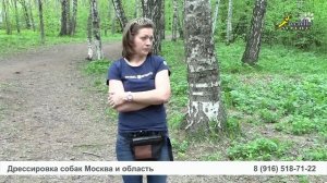 Дрессировка собак, Чем тренировать собаку вкусняшка из зоомагазина или колбаса