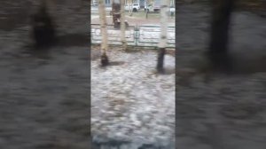 Коми Усинск