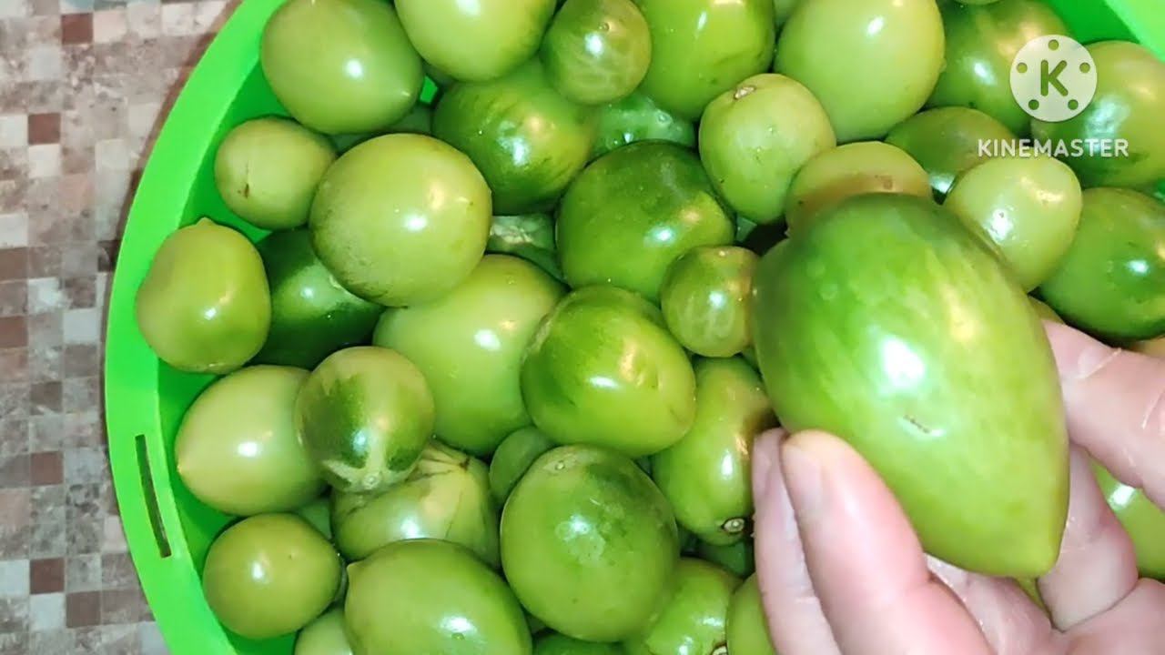 ЗЕЛЁНЫЕ ПОМИДОРЫ С ГОРЧИЦЕЙ. Быстрый и доступный рецепт.