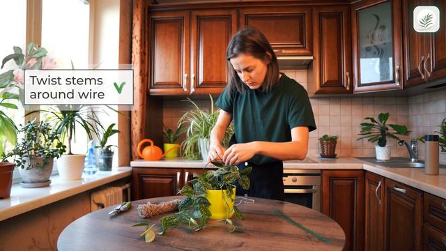 Support for Climbing Plants | Ring Plant Support