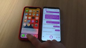 Новые Siri и Алиса общаются друг с другом