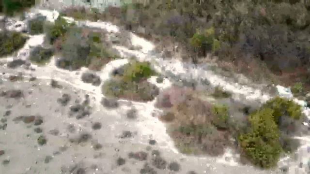 Дикая природа Дагестана часть 3/Wild nature of Dagestan part 3