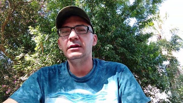 Может ли тигр ударом лапы сломать хребет быку? Сила удара тигра | Тигр против человека