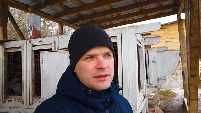 Перевез кроликов. Заболела коза.  / Жизнь в деревне/ деревенский блог смотреть онлайн