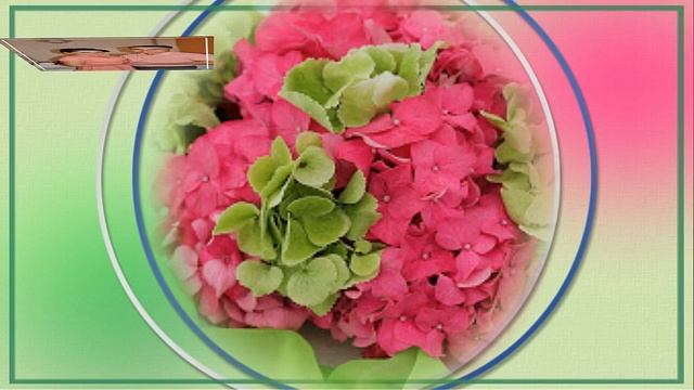 А ЗНАЕШЬ , ПАПА, Я ЖИВУ! смотреть онлайн