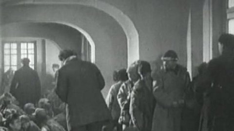 Путевка в жизнь