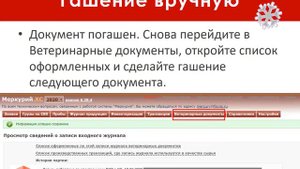 Как погасить ВСД в Меркурии в пакетном режиме