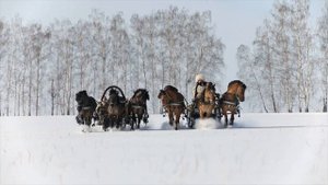 "В лунном сиянии" исп. Илона Красавцева (США) Андрей Матвеев (балалайка) и Владимир Бутусов (баян).