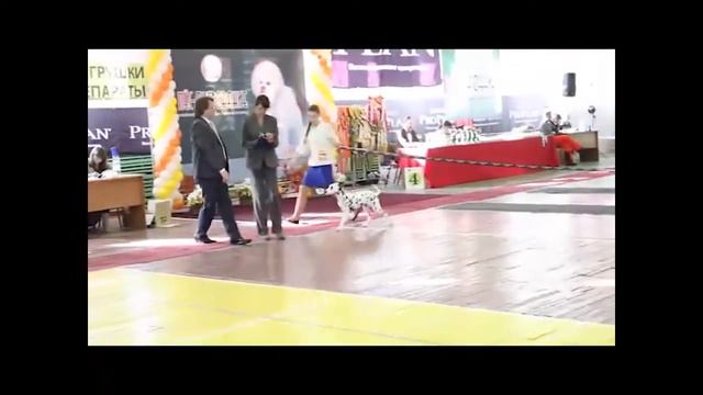 наша первая выставка