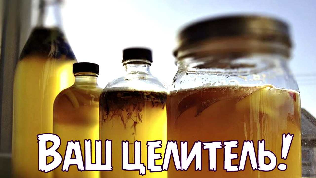 От кучи болезней спасет напиток из чайного гриба! Польза и вред чайного грибы для человека. смотреть онлайн