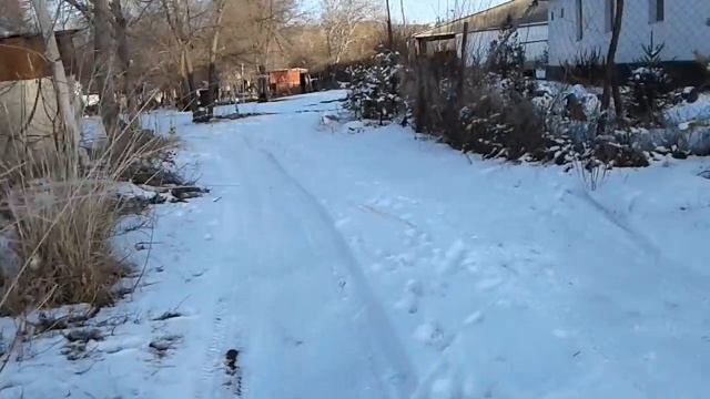 Ставим петли на зайчика и поймал фазанчика ловушка (пирамида ) смотреть онлайн