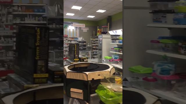 Большой зоомагазин МореЗОО смотреть онлайн