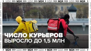 "Актуальный репортаж": число курьеров в РФ выросло до 1,5 млн с 2021 года - Москва 24