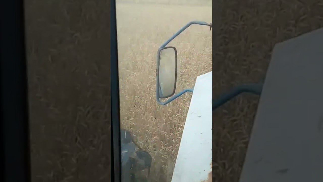 27 апреля 2024 г. смотреть онлайн