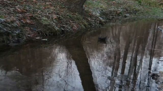 Остров капитанов смотреть онлайн