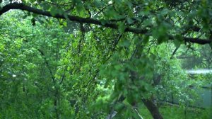 Расслабляющая музыка под звуки природы///RELAX MUSIC FOR SLEEP