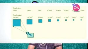 12mp vs 16mp vs 48mp vs 120mp vs Iphone camera | How company fool us on Camera