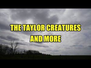 "The Taylor Creatures and More" | Paranormal Stories