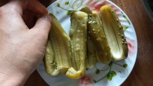 Пустые огурцы. Что не так с засолкой?