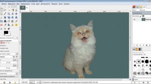 Удалить эффект красных глаз с помощью GIMP