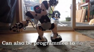 Roboactor (aka Robosapien / Robomaster) Humanoid RC Robot Review