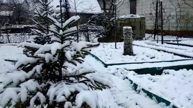 Первый снег  - в первый день зимы в Калининграде. ✳✳❇❇ смотреть онлайн