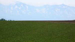 Философия Гегеля