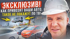 Разгрузка автомобилей из Японии во Владивостоке. Показываем пришедшие распилы и заказанные авто