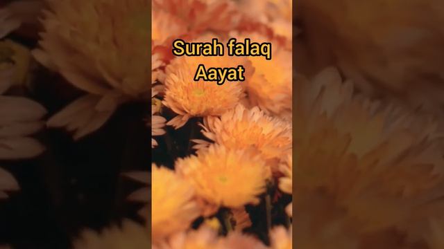 Surah falaq Aayat Urdu translation #quran #shortvideo