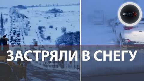 Трасса М-4 "Дон": пробка в 60 км | Метель заблокировала тысячи машин на дорогах Ростовской области
