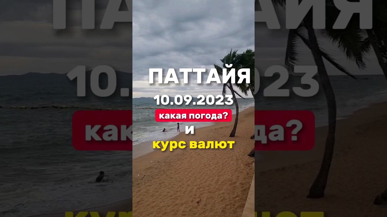 Ежедневные выпуски из Паттайи. Погода и курс валют в низкий сезон дождей в Таиланде. #джомтьен