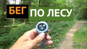 И снова БЕГ в жару по лесу это кайф!