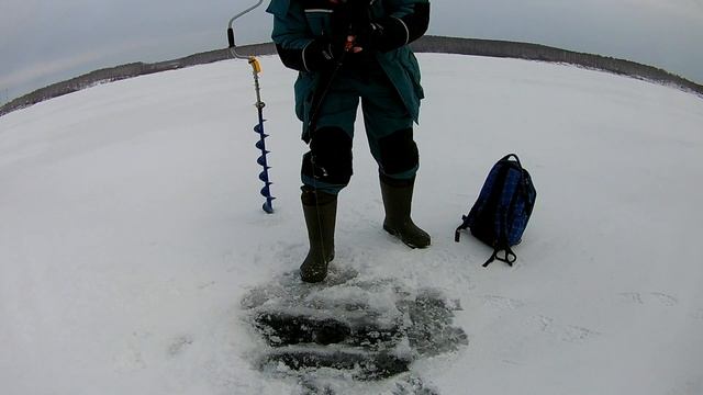 Крупный Окунь . Ловля Окуня на Блесну Зимой. Маропедка.