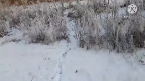 Какая прекрассная погода сегодня в Башкирии