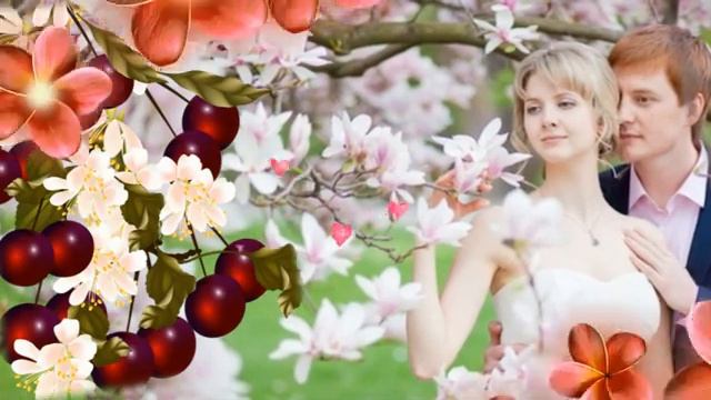 Неспелая вишня