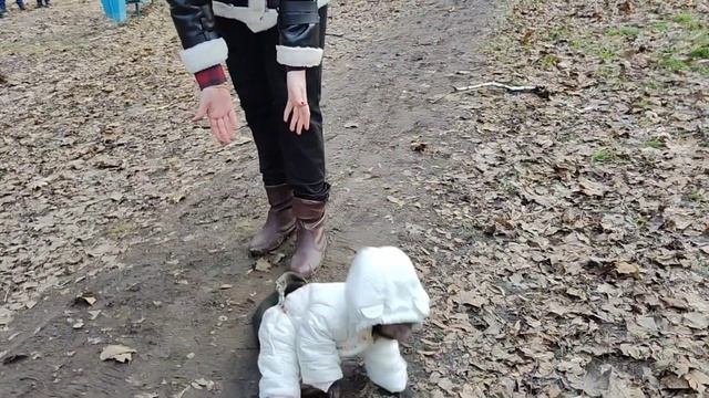Маленькая домашняя обезьянка Алекса убежала от людей!