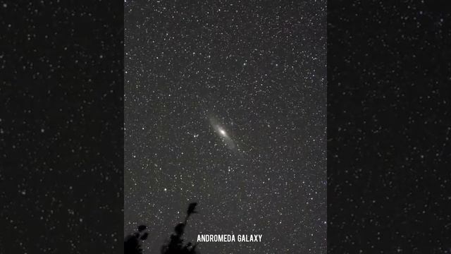 Andromeda Galaxy