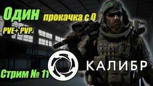 Калибр. Один Качаем с ноля PVE + PVP. учусь играть. Стрим 11. #bulldezeer #калибр