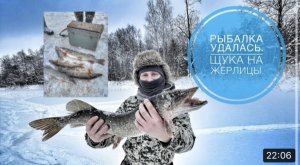 Осенью сломали плотину у бобра , помогло ли это? Щука на жерлицы